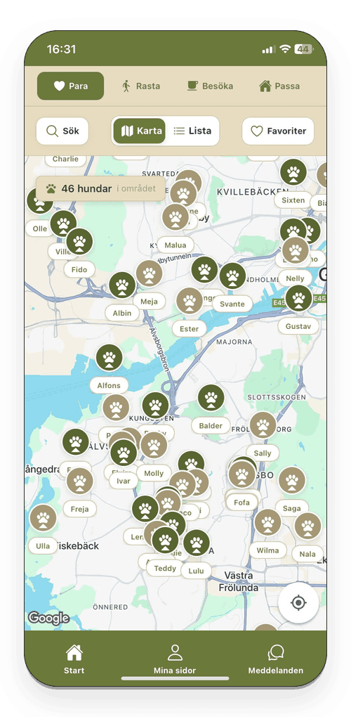 Flocken app screenshot