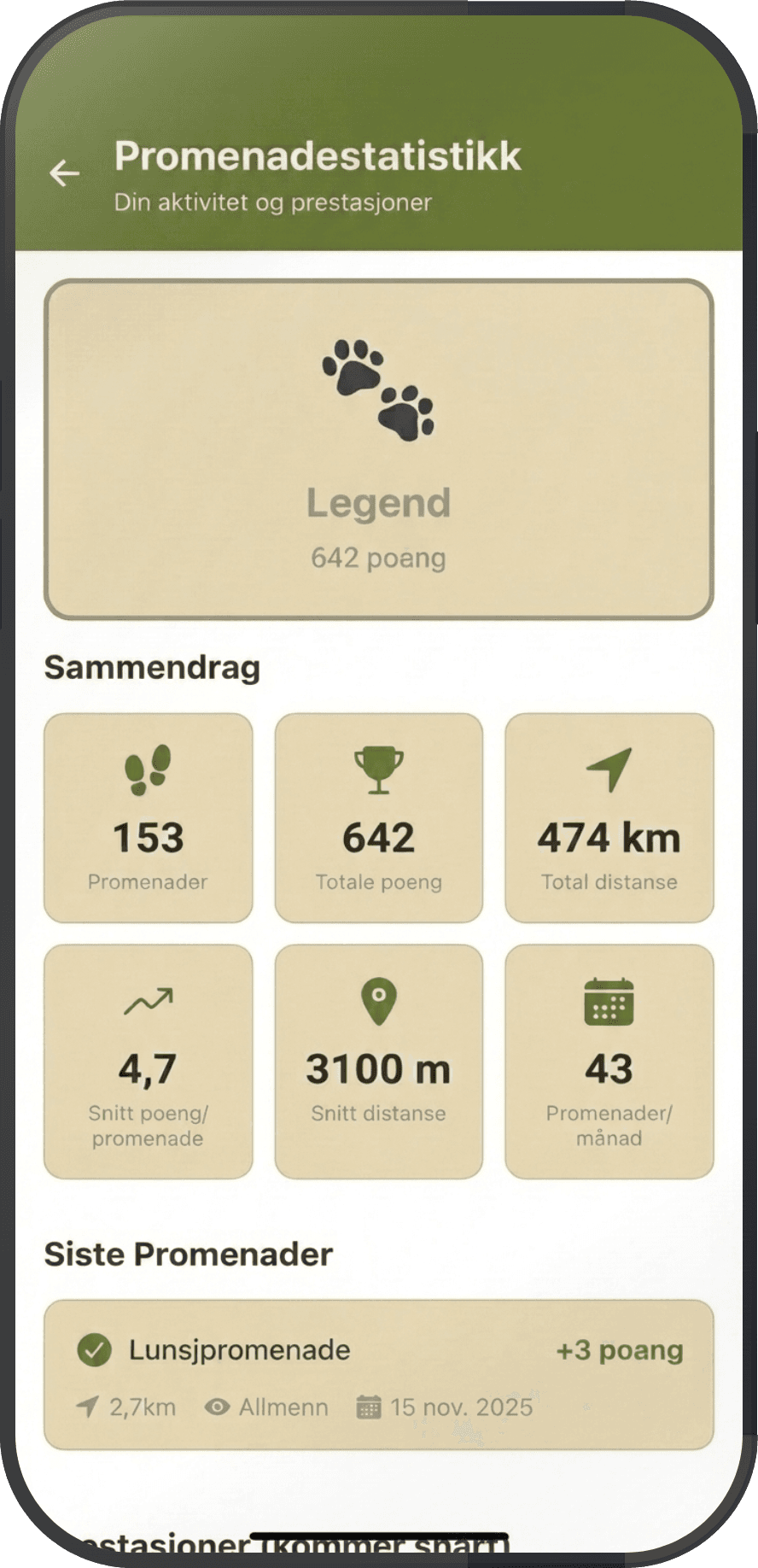 Skjermbilde av Turer-funksjonen i Flocken. Promenadestatistikk med runder, poeng og total distanse.